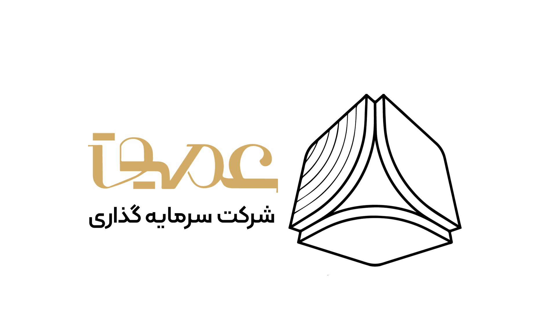 شرکت سرمایه‌گذاری عمیق